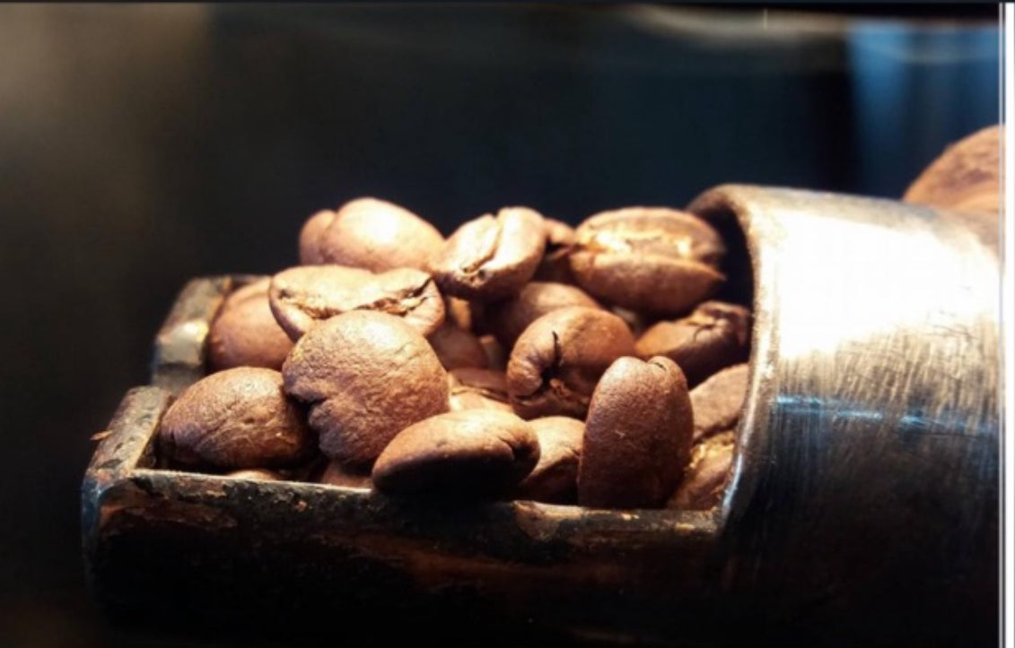 Colombia Fincas tradicional