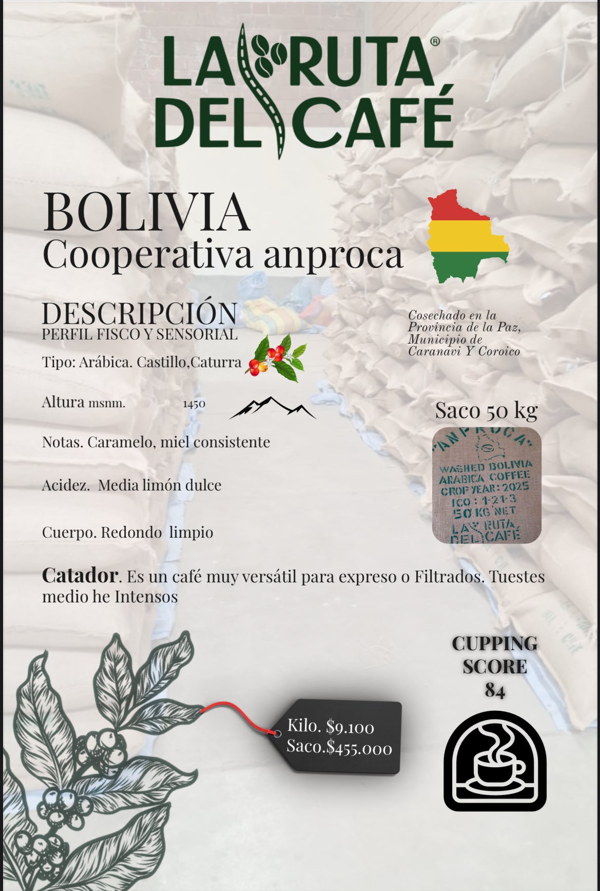 Café Verde 50kg arabico Bolivia cooperativa Anproca taza 84