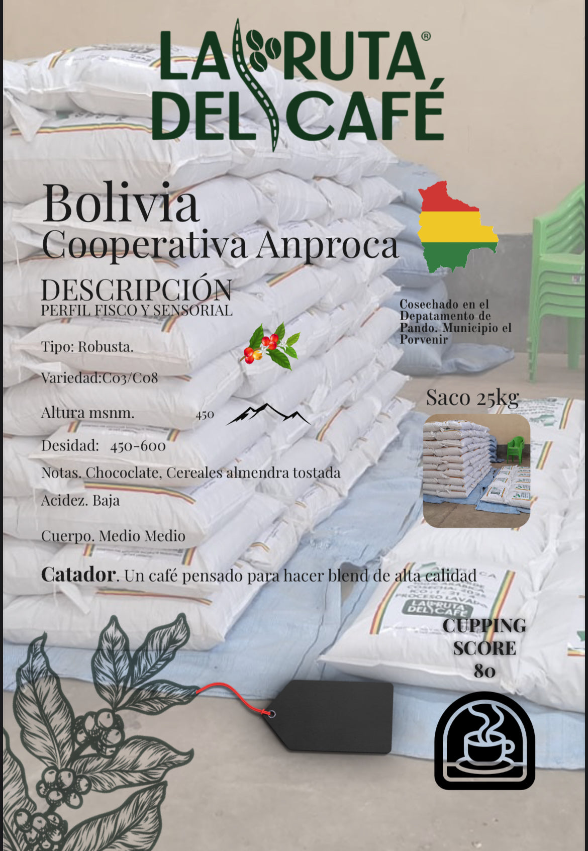 CAFE VERDE ROBUSTA cooperativa ANPROCA