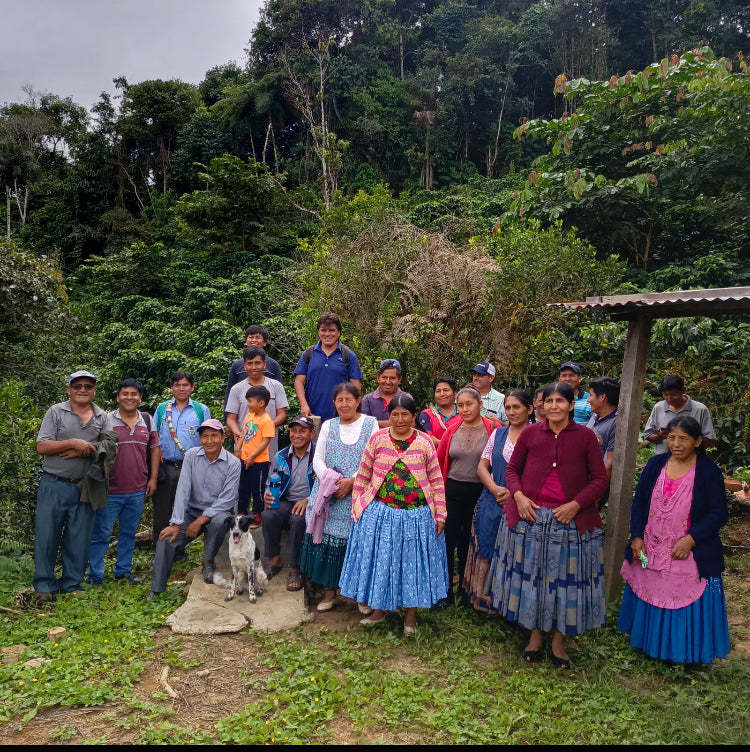 Cafe verde Bolivia  saco x 50 kilos