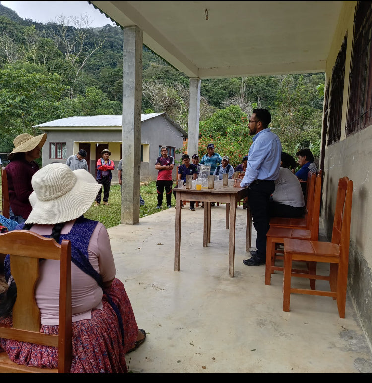 Cafe verde Bolivia  saco x 50 kilos