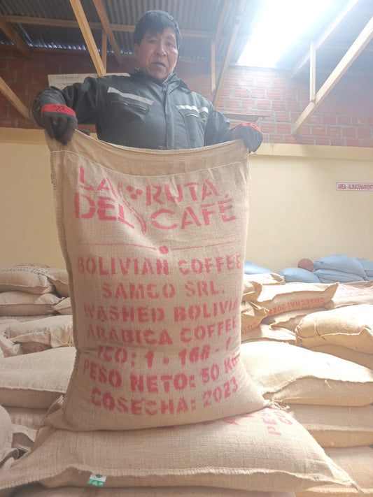 CAFE VERDE ROBUSTA 50Kg