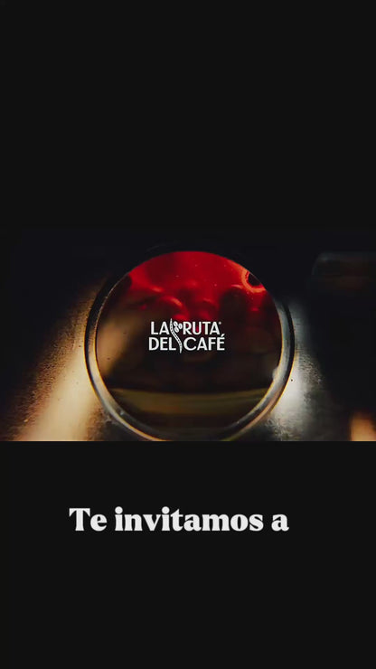 Curso práctico de tostado